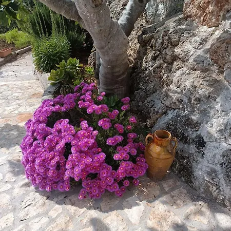 La Casa Di Nonno Holiday home Fasano
